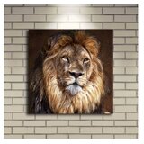 Wallity 4040İACT-20 multicolor decorative led lighted canvas painting | Eponuda.com
