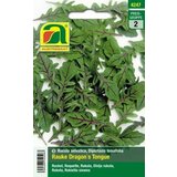 AUSTROSAAT Rukola "Dragon´s Tongue" | Shoptok.si