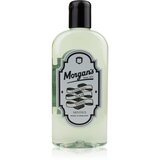 Morgan's Cooling Tonic lasni tonik 250 ml | Shoptok.si