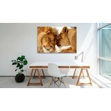  Slika - Love's Secret 120x80 | shoptok.hr