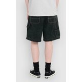 Element Big Carpenter Denim Kratke hlace black green tint | Shoptok.si