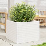 Maison Chic Vrtno cvetlično korito - Cvetlični Lonec belo 60x60x46 cm trdna borovina, (21789078) | Shoptok.si
