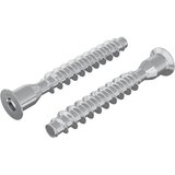 vidaXL Potrdilni vijaki 2 pcs srebrna Ø7 x 50 mm Kovina, (5000163848) | Shoptok.si