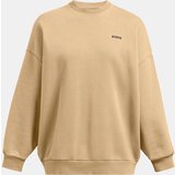 Under Armour Women's sweatshirt UA Icon HWT Flc OS Crew-BRN - Women's | Shoptok.si