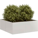 vidaXL Sadilnik 80x80x30 cm iz nerjavečega jekla Cene