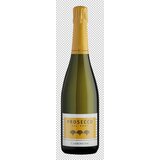 Castello Carboncine Penušavo vino Prosecco Brut Cene