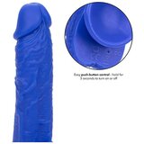 California Exotic Novelties Vibracijski penis Admiral 7 - Sailor (R14812) | Shoptok.si