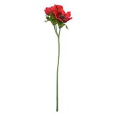  ANEMONA 46CM CRVENA EDG | Eponuda.ba