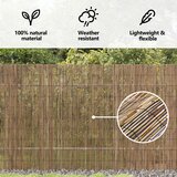 vidaXL Zunanja trta 600x140 cm, (22046067) | Shoptok.si