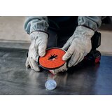 Bosch expert R781 prisma ceramic x-lock fiber disk od 115 mm, 22,23 mm, g 36, 5 delova 2608621779 | Eponuda.com