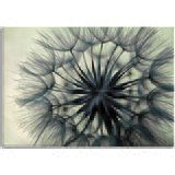 Pintdecor Zidni ukras Soffione | shoptok.hr