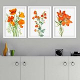 Wallity Set uramljenih slika 3BC_12613512, 3 Dela | ePonuda.com