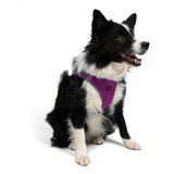 Paws & Whiskers Am za pse Air Mesh Purple 2XS | Eponuda.com