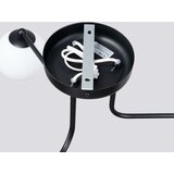  Lestenec ASTRAL 3 črn, (21626989) | Shoptok.si