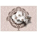  Tapeta - Royal orchids 150x105 | shoptok.hr