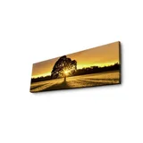 Slika priroda sa led osvetljenjem 30x90 cm