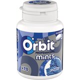  Mints - Classic - 77 g | Shoptok.si