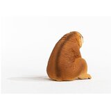 Schleich 14852 - Wild Life - počasni loris | Shoptok.si