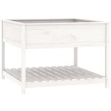 Maison Chic Visoka greda - Greda - Cvetlični Lonec s polico bela 111,5x111,5x81 cm trdna borovina, (21789058) Cene