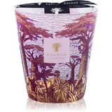 Baobab Collection Sacred Trees Massasso dišeča sveča 16 cm