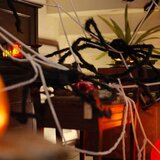 vidaXL Okrasitev noči čarovnic s pajki in mrežami 4 pcs Črna in bela | Shoptok.si