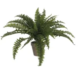 SCINDAPSUS VISEČ ZELEN - L80XW30XH15CM