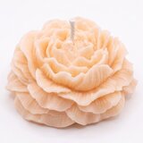  Sveča Božur - Oranžna / Roza / Češnja KP41377 | Shoptok.si