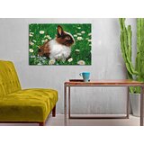  Slika za samostalno slikanje - Rabbit in the Meadow 60x40 | shoptok.hr