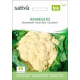 Sativa Cvetača, Amabile Ks Cene