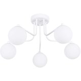  Lestenec ASTRAL 5 beli, (21626983) | Shoptok.si