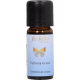 farfalla Verbena trave | Shoptok.si