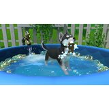 Nintendo Little Friends: Puppy Island (Switch) | shoptok.hr