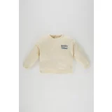 Defacto Baby Boy Printed Crew Neck Sweater