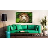  Slika - Eyes of the jungle 120x80 | shoptok.hr