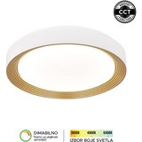 Forma LED plafonjera LP-405-28R WH+SG | Eponuda.com