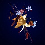 Mugler Angel Elixir parfumska voda nadomestno polnilo za ženske 100 ml | Shoptok.si