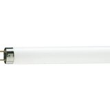 Philips tl-d 36w/54-765 928048505422 fluo cev ( 18032 ) | Eponuda.com