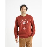 Celio Sweatshirt Begrif with print - Men | ePonuda.com