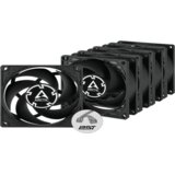 Arctic P8 PWM PST 5-pack fans80mm PWM Fan | Eponuda.ba