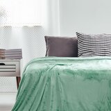 DecoKing Mint zelena odeja iz mikrovlaken Mic, 160 x 210 cm | Shoptok.si