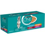 Purina Mješovito pakiranje ONE Adult 40 x 85 g - Mješoviti izbor | shoptok.hr