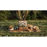 Baobab Collection Sacred Trees Touba dišeča sveča 1100 g | Shoptok.si