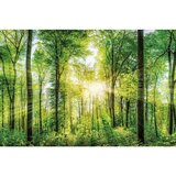 Mömax Slika Na Platnu Desteny | Shoptok.si