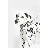 MiaCara Temno siva ovratnica velikosti M/L dolžina 35 cm Modena Asphalt M/ML – | Shoptok.si