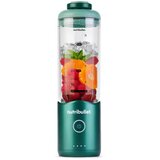 Nutribullet Flex NBP013GR Standmixer grün | shoptok.hr