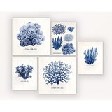 Dekordom slika set od 5 delova blue plants