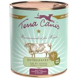 Terra Canis brez žit 6 x 800 g - Govedina z bučkami in origanom