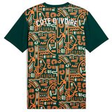  Muški Nogometni Dres Kratkih Rukava Puma Cote d'Ivore Prematch Ss Zelena | shoptok.hr