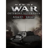 Steam Men of War: Assault Squad 2 - Ostfront Veteranen (DLC) (PC) Key GLOBAL | ePonuda.com