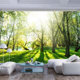  Samoljepljiva foto tapeta - Sunny May Day 294x210 Cijene